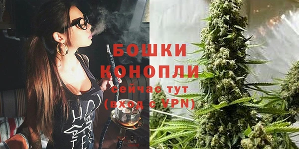 spice Арсеньев