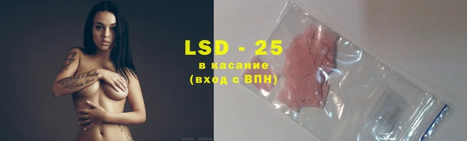 spice Арсеньев