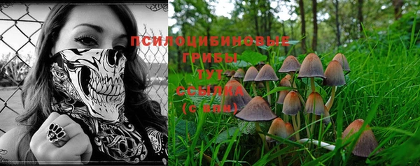 spice Арсеньев